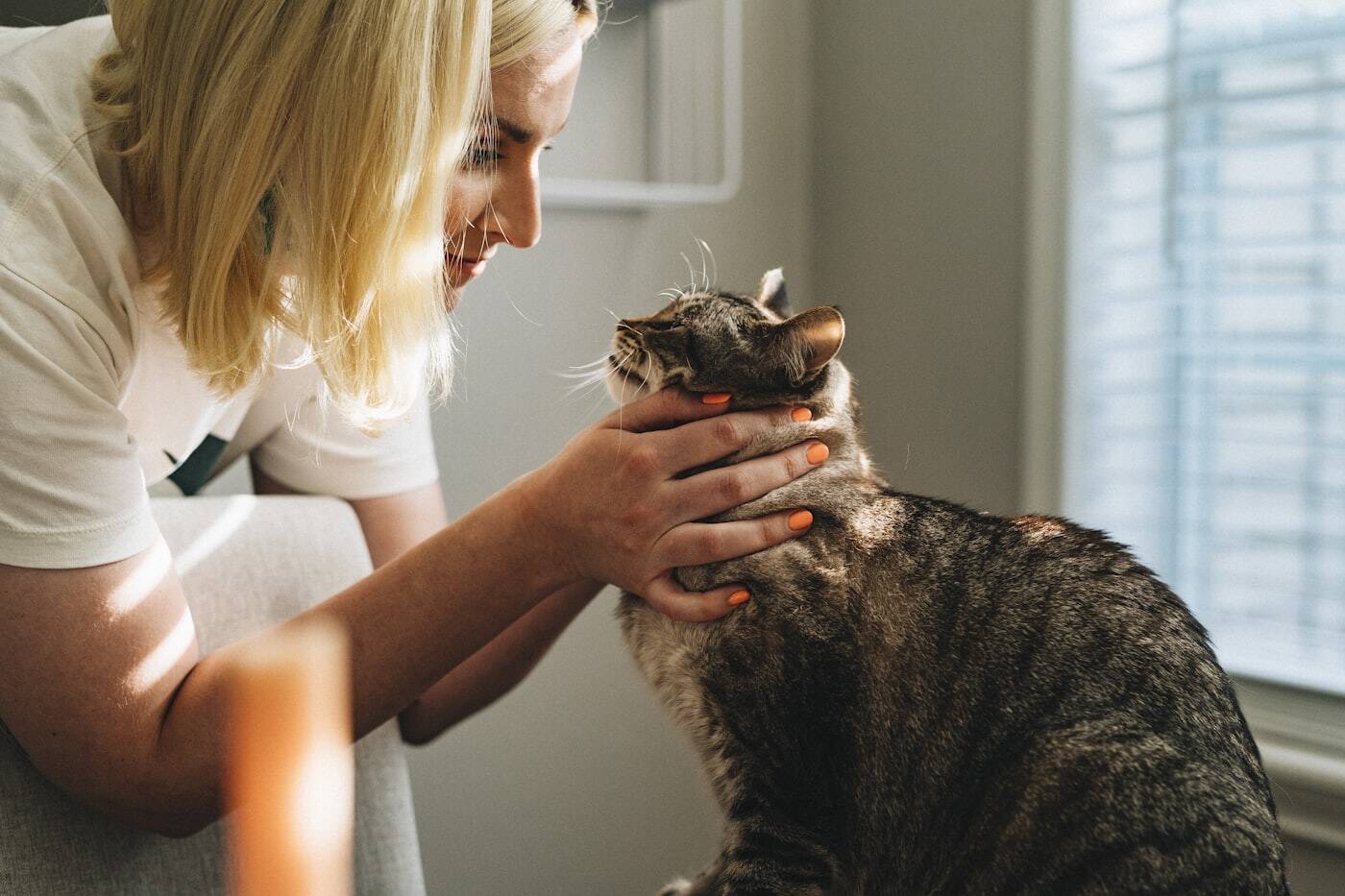 A vet caring for a happy pet
